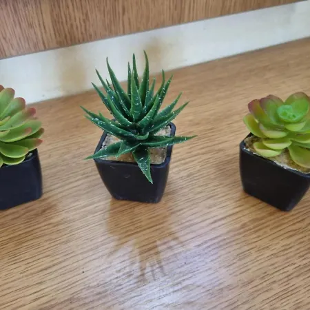 Danube Park * Русе