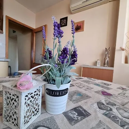 Danube Park Appartement
