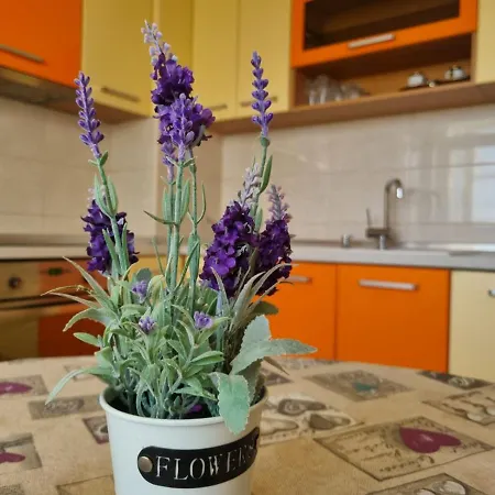 Апартамент Danube Park *