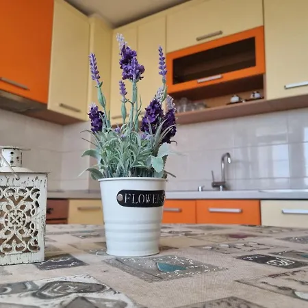 Appartement Danube Park Roese