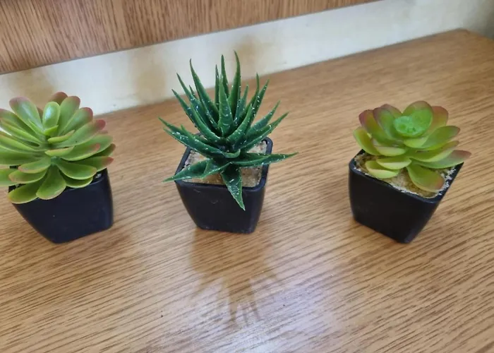 Danube Park * Rusçuk