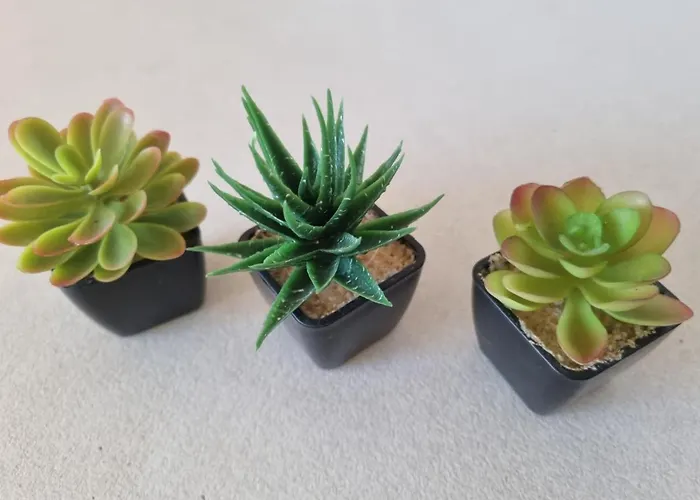 Daire Danube Park Rusçuk